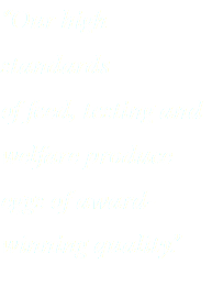 “Our high standards of feed, testing and welfare produce eggs of award-winning quality.”
